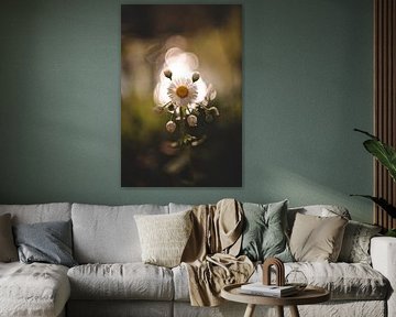 Bokeh Art