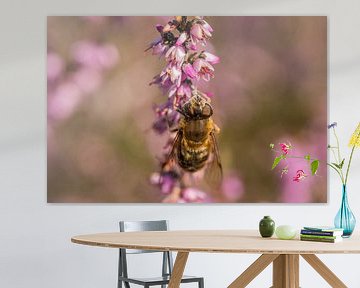 Wasp resting on side of heather von Frank Hoekzema