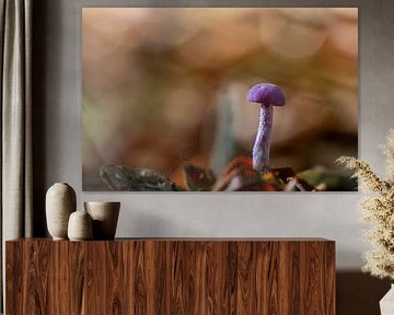 Amethyst-Pilz von Wendy van der Klift-Bartelings