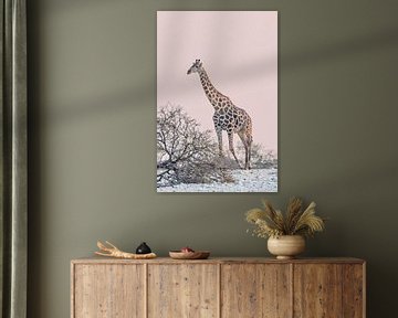 Giraffe bij pastelkleurige zonsondergang | Wildlife Natuurfotografie
