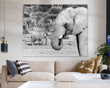 Grote en kleine olifant in zwart wit | Wildlife Natuurfotografie Afrika