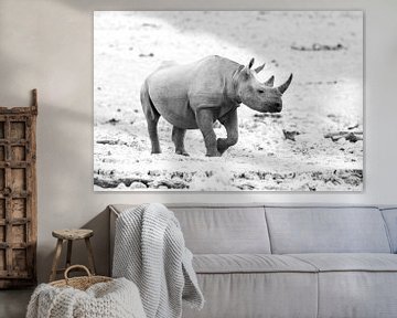 Neushoorn op rotsvlakte in zwart wit | Wildlife Natuurfotografie Afrika