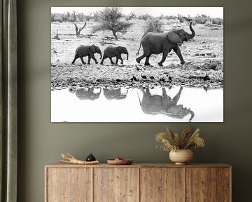 Moeder olifant leidt de weg voor twee jonge olifantjes, in zwart wit, met spiegeling | Wildlife Afrika Natuurfotografie