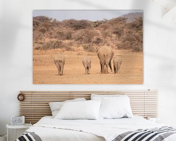 Samen op weg: Moeder olifant met jongen in pastelkleuren | Wildlife Natuurfotografie