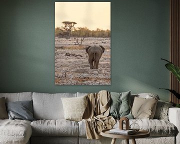 Eenzame olifant in pastel | Wildlife Natuurfotografie Afrika