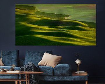 Groene golven in de Palouse, Verenigde Staten van Adelheid Smitt
