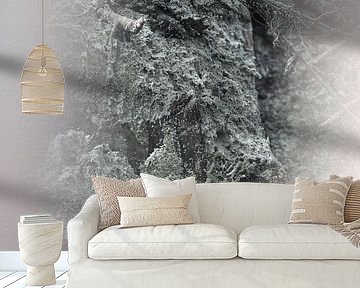 Pareidolie in zand van Erik Stekelenburg