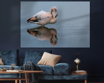 Flamingo with mirror image by Petra Vastenburg