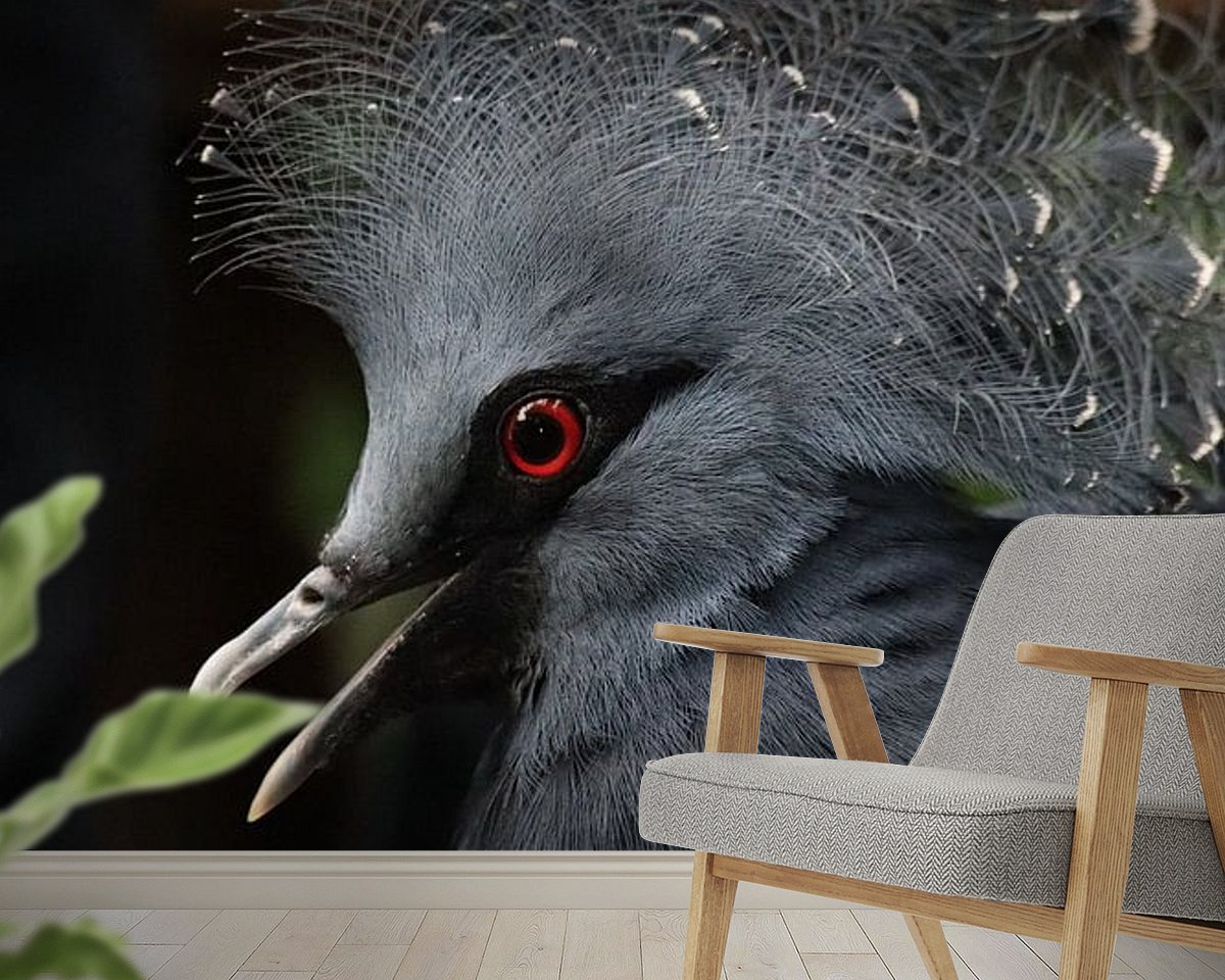Raumvorschau