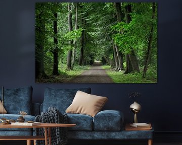 Bos de Hoge Veluwe van Corinne Welp