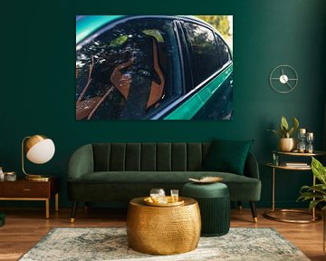 BMW M3 G80 verte dans un cadre forestier paisible