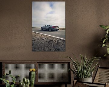 Audi R8 V10 met een Prachtig Zeezicht op de Achtergrond van Sebastiaan van 't Hoog