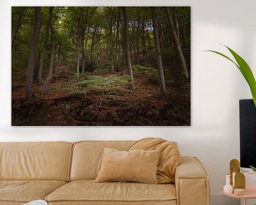 Herfstig Zwarte Woud van GoodMoodPhotos