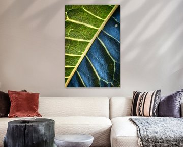 Leaf Texture