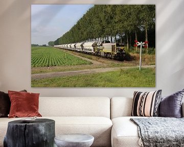 Certus Rail met petroleumcokes Zeeuws Vlaanderen van Harold de Groot