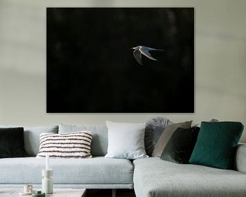 Lowkey common tern by Ronald Buitendijk Fotografie