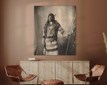 Portraits historiques d'Indiens d'Amérique