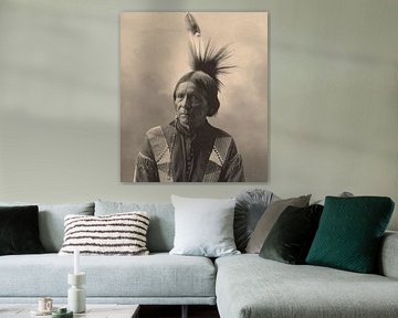 Historical American Indian Portraits