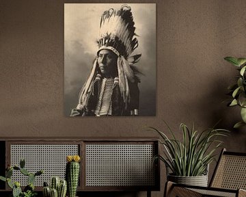 Historical American Indian Portraits
