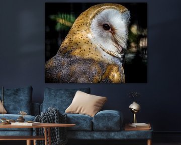 Majestic Owl