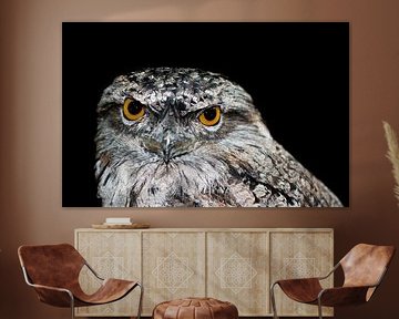 Majestic Owl