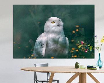 Majestic Owl