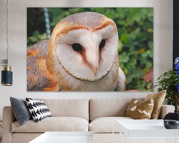 Majestic Owl