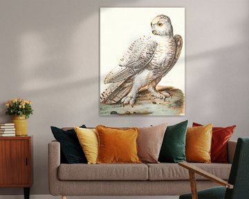Majestic Owl