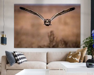 Majestic Owl