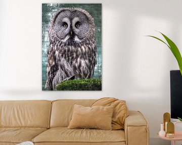 Majestic Owl