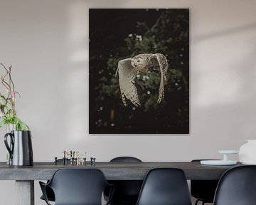 Majestic Owl