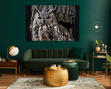 Majestic Owl