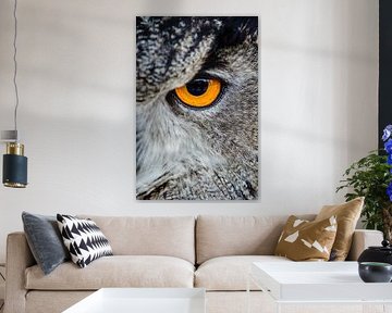 Majestic Owl