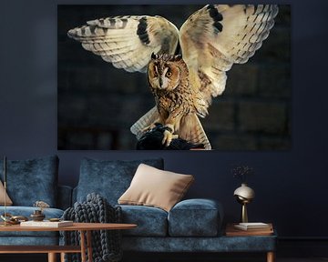 Majestic Owl