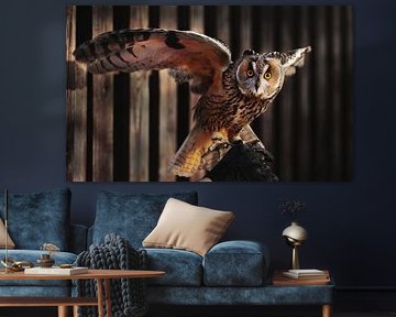 Majestic Owl