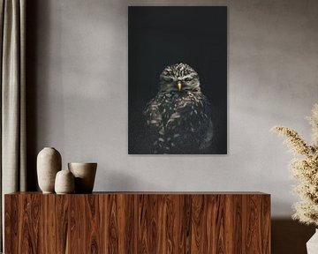 Majestic Owl
