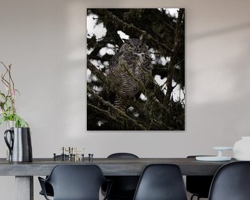 Majestic Owl