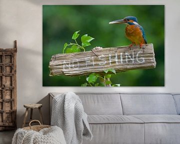 Kingfisher - No fishing! by IJsvogels.nl - Corné van Oosterhout