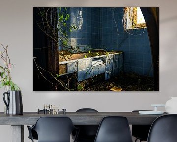Verlaten badkuip in de natuur - verloren plek in de greep van planten van InfiniteArtLabs