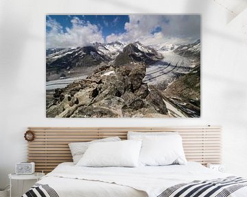 Glacier d'Aletsch - Wallis - Suisse