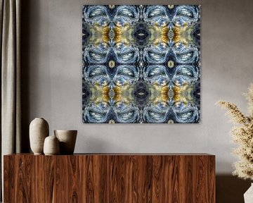 Symfonie van de Schelp: Abstracte Natuurkunst