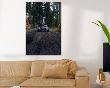 Audi RS3 in het Bos – Moderne Auto in Natuurlijke Omgeving van Sebastiaan van 't Hoog