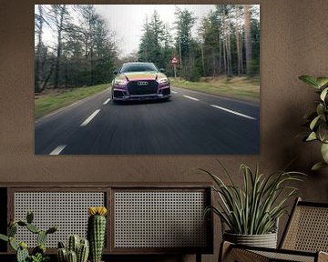 Audi RS3 in het Bos – Moderne Auto in Natuurlijke Omgeving van Sebastiaan van 't Hoog