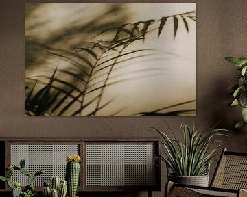 Licht & Schatten