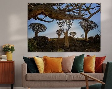 Enchanting quiver tree forest at sunrise - Namibia by Fototante