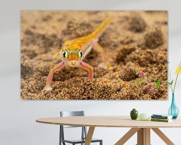 Namibische gekko... Overlevingskunstenaars van de woestijn van Fototante