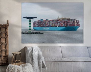 Containerschip Maastricht Maersk. van Jaap van den Berg
