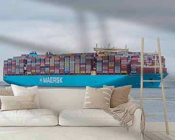 Container ship Maastricht Maersk. by Jaap van den Berg