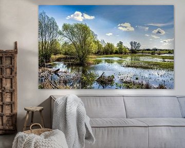 Ooijpolder Nijmegen Nederland