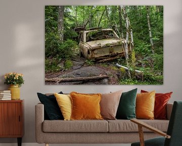 Auto in de natuur van Wendy van der Klift-Bartelings